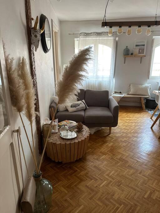 Appartement Carmes, Hypercentre Тулуза Екстер'єр фото